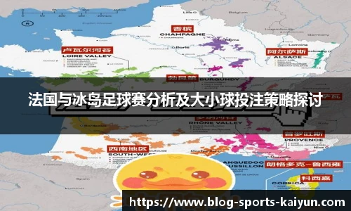 法国与冰岛足球赛分析及大小球投注策略探讨